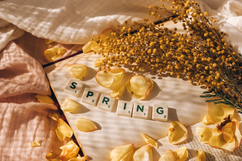 Fleurs de saison printemps été, sélection Bergamotte